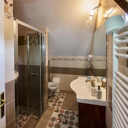 Pensiunea Cretuca Guest house *