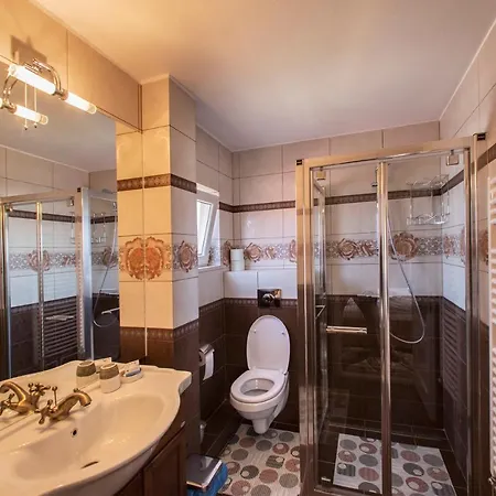 Guest house Pensiunea Cretuca