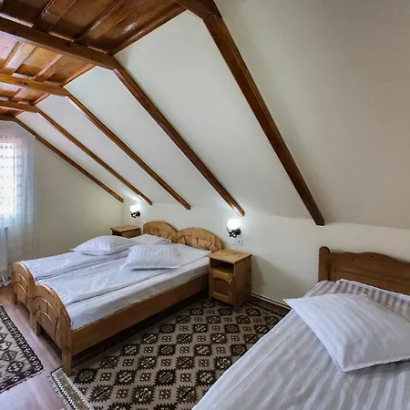 Pensiunea Cretuca Guest house