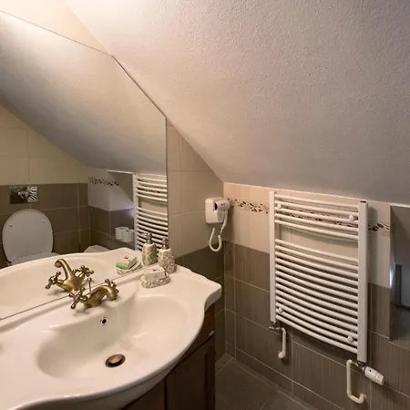 Guest house Pensiunea Cretuca Botiza