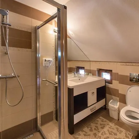 Guest house Pensiunea Cretuca *