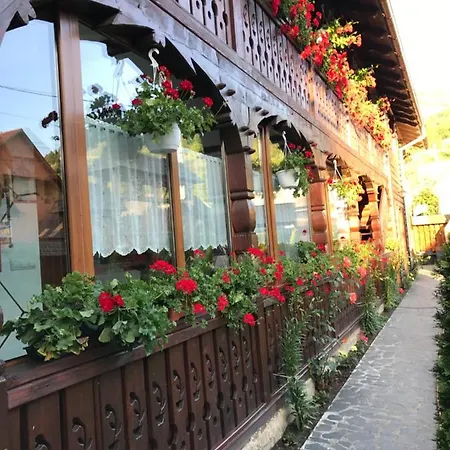 Pensiunea Cretuca Guest house *