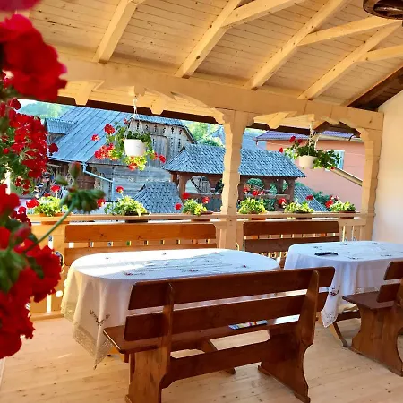 Pensiunea Cretuca Guest house
