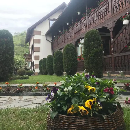Pensjonat Pensiunea Cretuca