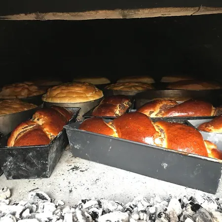 Pensiunea Cretuca Pensjonat